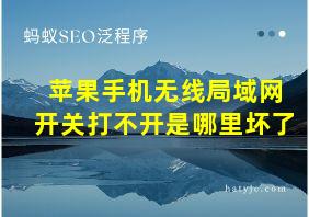 苹果手机无线局域网开关打不开是哪里坏了