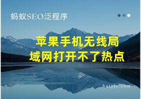 苹果手机无线局域网打开不了热点