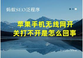 苹果手机无线网开关打不开是怎么回事