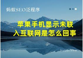 苹果手机显示未联入互联网是怎么回事