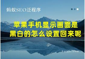 苹果手机显示画面是黑白的怎么设置回来呢