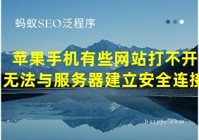 苹果手机有些网站打不开无法与服务器建立安全连接