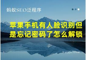 苹果手机有人脸识别但是忘记密码了怎么解锁