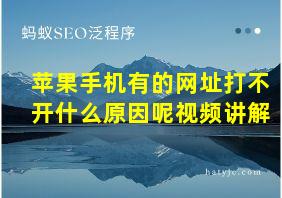 苹果手机有的网址打不开什么原因呢视频讲解