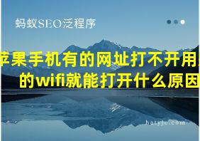 苹果手机有的网址打不开用别的wifi就能打开什么原因