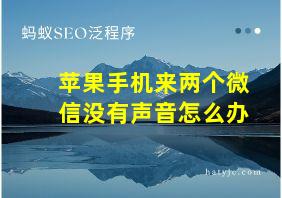 苹果手机来两个微信没有声音怎么办