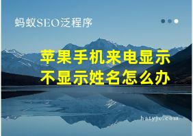 苹果手机来电显示不显示姓名怎么办