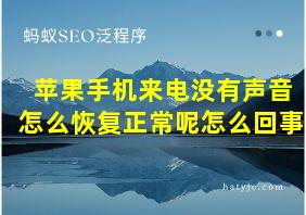 苹果手机来电没有声音怎么恢复正常呢怎么回事