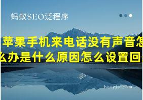 苹果手机来电话没有声音怎么办是什么原因怎么设置回来