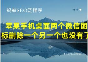 苹果手机桌面两个微信图标删除一个另一个也没有了