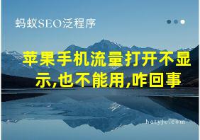 苹果手机流量打开不显示,也不能用,咋回事