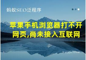 苹果手机浏览器打不开网页,尚未接入互联网