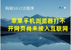 苹果手机浏览器打不开网页尚未接入互联网