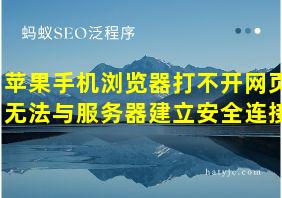 苹果手机浏览器打不开网页无法与服务器建立安全连接