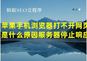 苹果手机浏览器打不开网页是什么原因服务器停止响应