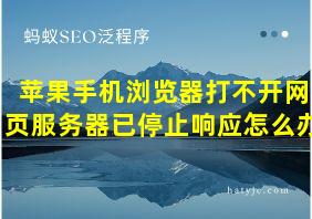 苹果手机浏览器打不开网页服务器已停止响应怎么办