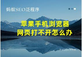 苹果手机浏览器网页打不开怎么办