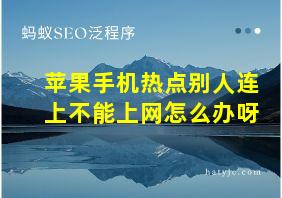 苹果手机热点别人连上不能上网怎么办呀