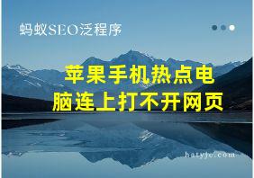 苹果手机热点电脑连上打不开网页