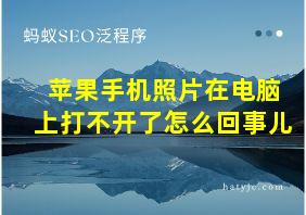 苹果手机照片在电脑上打不开了怎么回事儿