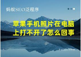 苹果手机照片在电脑上打不开了怎么回事