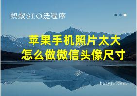 苹果手机照片太大怎么做微信头像尺寸