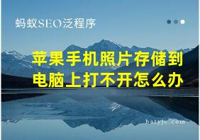 苹果手机照片存储到电脑上打不开怎么办