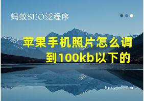 苹果手机照片怎么调到100kb以下的