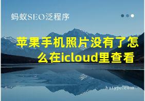 苹果手机照片没有了怎么在icloud里查看