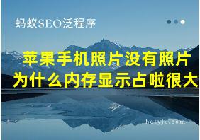 苹果手机照片没有照片为什么内存显示占啦很大