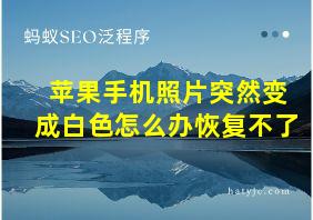 苹果手机照片突然变成白色怎么办恢复不了