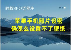 苹果手机照片设密码怎么设置不了壁纸