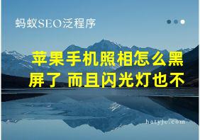 苹果手机照相怎么黑屏了 而且闪光灯也不