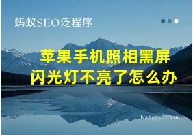 苹果手机照相黑屏闪光灯不亮了怎么办