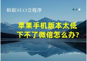 苹果手机版本太低下不了微信怎么办?