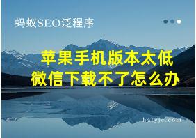 苹果手机版本太低微信下载不了怎么办