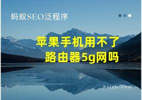 苹果手机用不了路由器5g网吗