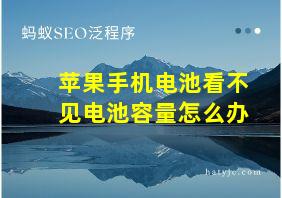 苹果手机电池看不见电池容量怎么办