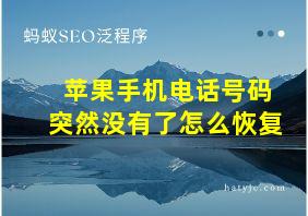 苹果手机电话号码突然没有了怎么恢复