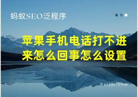 苹果手机电话打不进来怎么回事怎么设置