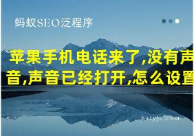 苹果手机电话来了,没有声音,声音已经打开,怎么设置