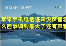 苹果手机电话进来没声音怎么回事调到最大了还有声音