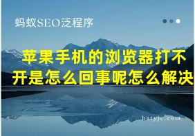 苹果手机的浏览器打不开是怎么回事呢怎么解决