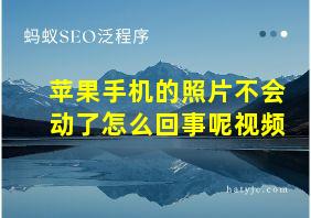 苹果手机的照片不会动了怎么回事呢视频