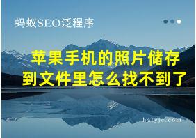 苹果手机的照片储存到文件里怎么找不到了