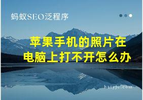 苹果手机的照片在电脑上打不开怎么办