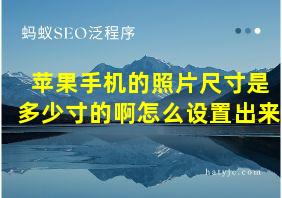 苹果手机的照片尺寸是多少寸的啊怎么设置出来