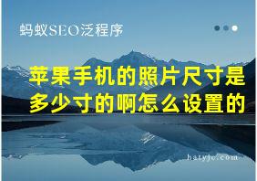 苹果手机的照片尺寸是多少寸的啊怎么设置的