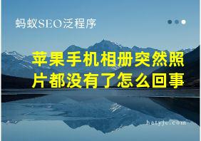 苹果手机相册突然照片都没有了怎么回事