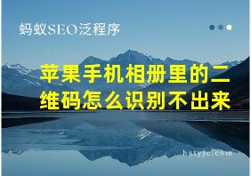 苹果手机相册里的二维码怎么识别不出来